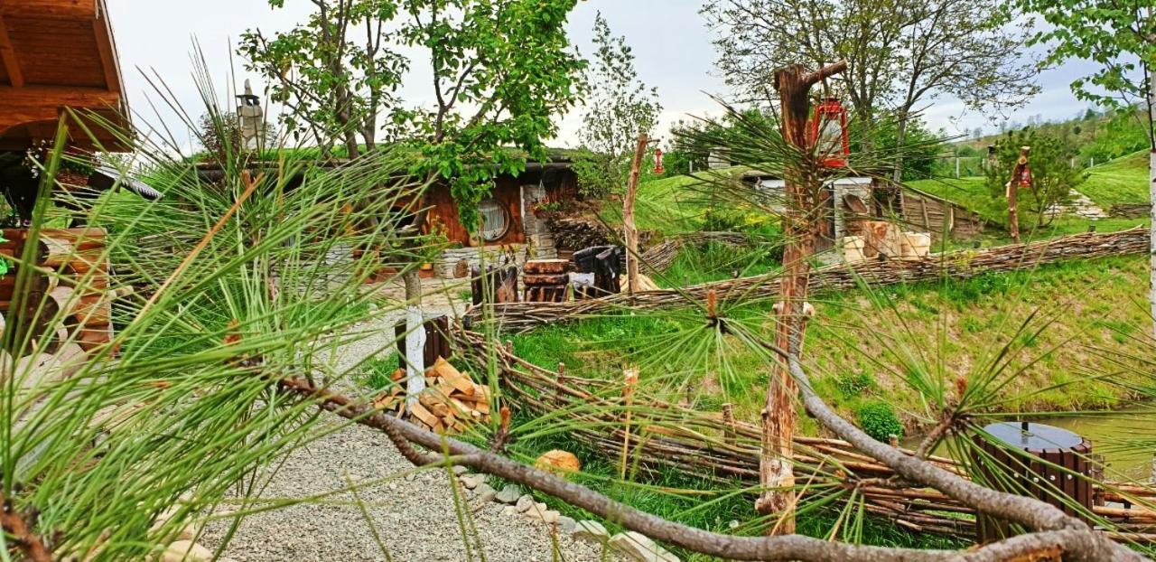 Valea Celor Doisprezece Otel Piriu Dobreni Dış mekan fotoğraf