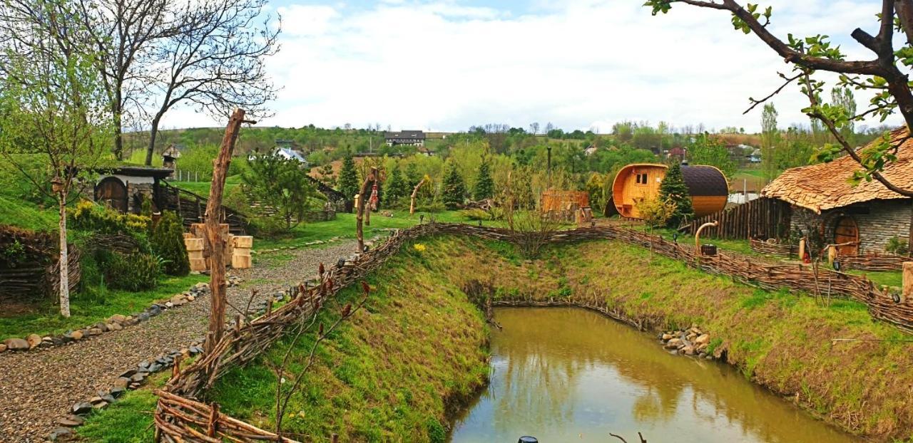 Valea Celor Doisprezece Otel Piriu Dobreni Dış mekan fotoğraf