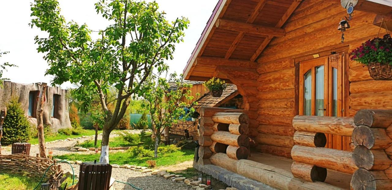 Valea Celor Doisprezece Otel Piriu Dobreni Dış mekan fotoğraf