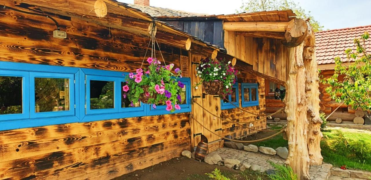 Valea Celor Doisprezece Otel Piriu Dobreni Dış mekan fotoğraf